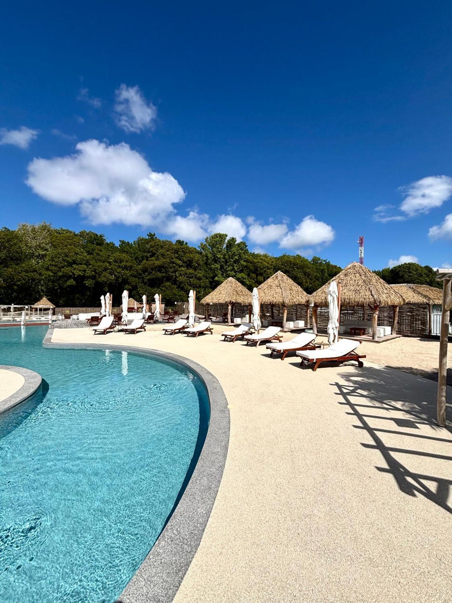 La Bulle De Maloma - Piscine, Blue Dream, Plage Grand-Bourg  Eksteriør bilde